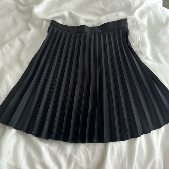 Pleaded skirt - Picture 1 of 3